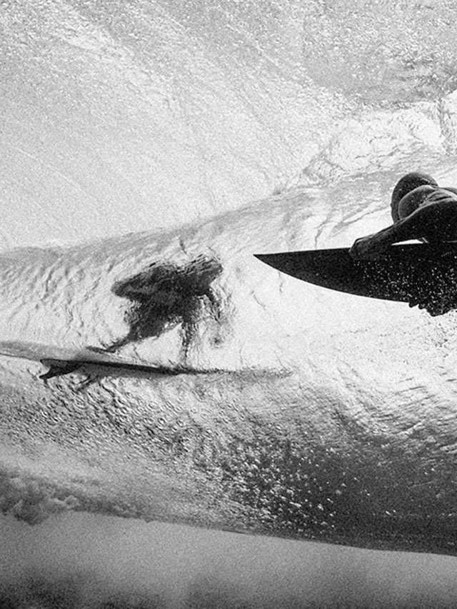 Os filmes de surf de Taylor Steele